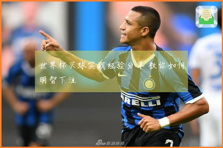 世界杯买球实战经验分享 教你如何明智下注