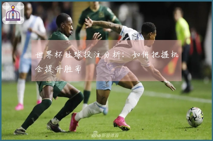 世界杯让球投注分析：如何把握机会提升胜率