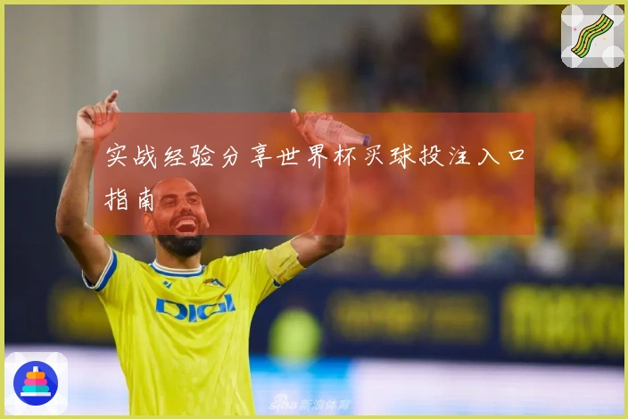 实战经验分享世界杯买球投注入口指南