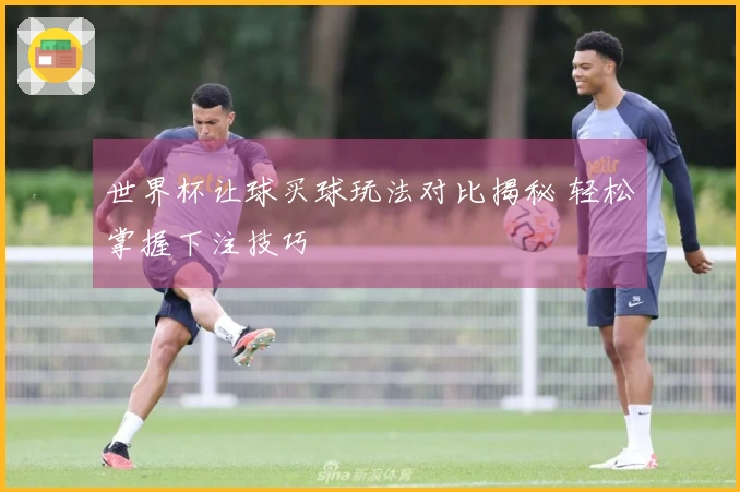 世界杯让球买球玩法对比揭秘 轻松掌握下注技巧
