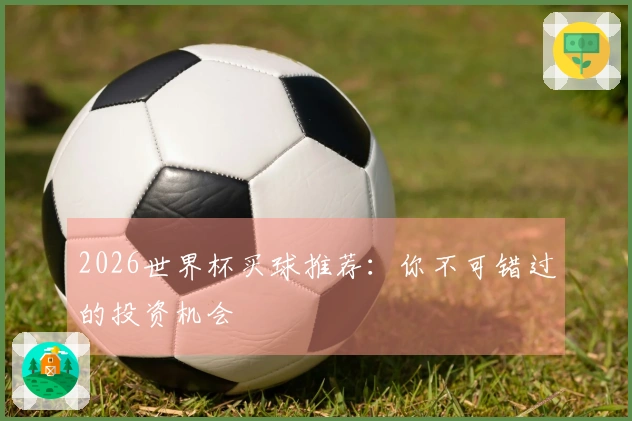 2026世界杯买球推荐：你不可错过的投资机会