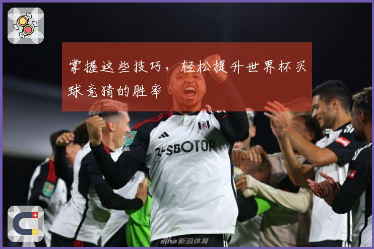 掌握这些技巧，轻松提升世界杯买球竞猜的胜率