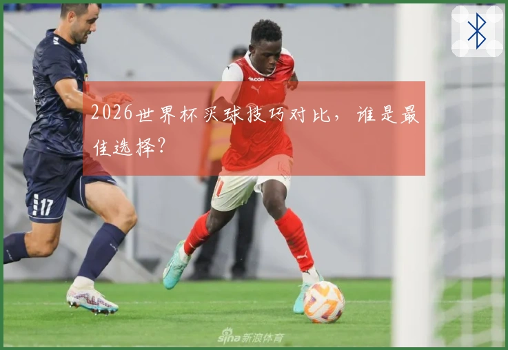 2026世界杯买球技巧对比，谁是最佳选择？