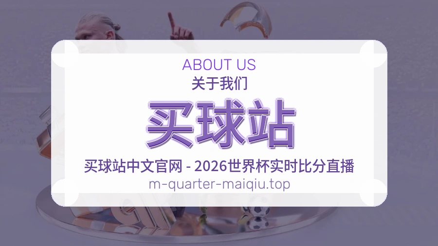 关于 买球站 团队与服务