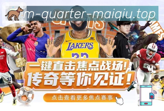 买球站 赛事筛选指南
